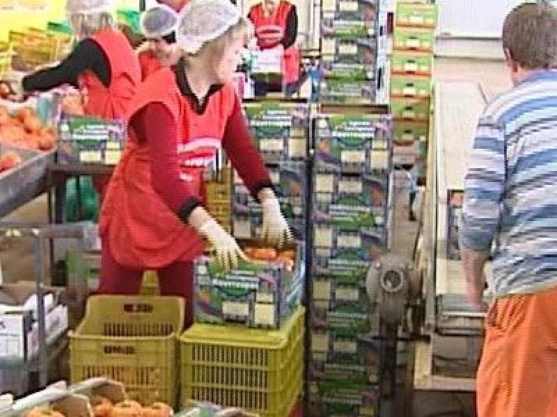 Εξαγωγές: Σε ανοδική πορεία τα αγροτικά προϊόντα για το α' εξάμηνο