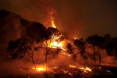 Μαίνεται η φωτιά στον Έβρο: 112 στο Σουφλί για ετοιμότητα