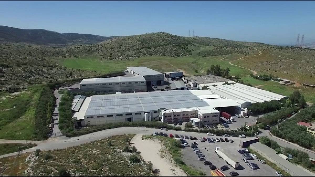 Mevaco: Νέος πρόεδρος στην Επιτροπή Ελέγχου ορίστηκε ο Θ. Παπαηλιού