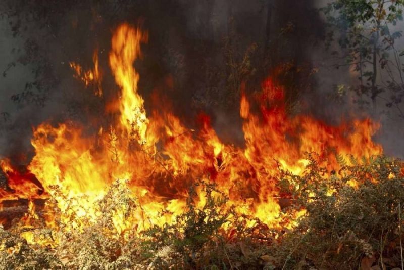 Πολύ υψηλός και σήμερα ο κίνδυνος πυρκαγιάς