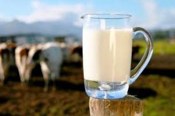 Υπ. Ανάπτυξης: Το γάλα είναι είδος πρώτης ανάγκης και δεν γίνεται να έχουμε την τρίτη ακριβότερη τιμή σε όλη την Ευρώπη
