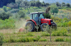 ΕΛΓΑ: Αποζημιώσεις 13,8 εκατ. ευρώ σε 9.634 παραγωγούς για ζημιές του 2025