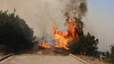 Φυλή: Ποιοι δρόμοι είναι κλειστοί λόγω της πυρκαγιάς στην περιοχή
