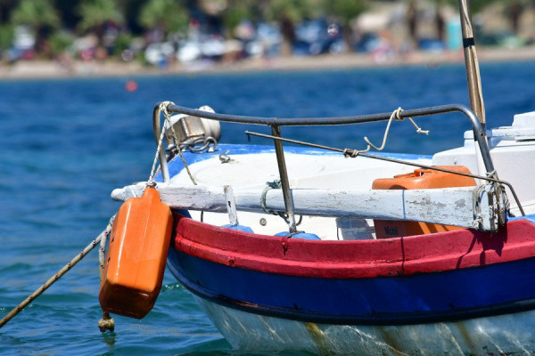 ΕΛΣΤΑΤ: Πάνω από 42.000 τόνοι αλιευμάτων στην Ελλάδα το 2025 - Στα €166,6 εκατ. η αξία της παραγωγής
