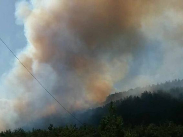 Πυρκαγιά Τρίπολης: Προφυλακίστηκε ο 29χρονος συλληφθείς για εμπρησμό