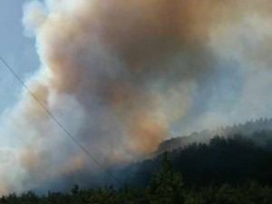 Πυρκαγιά Τρίπολης: Προφυλακίστηκε ο 29χρονος συλληφθείς για εμπρησμό