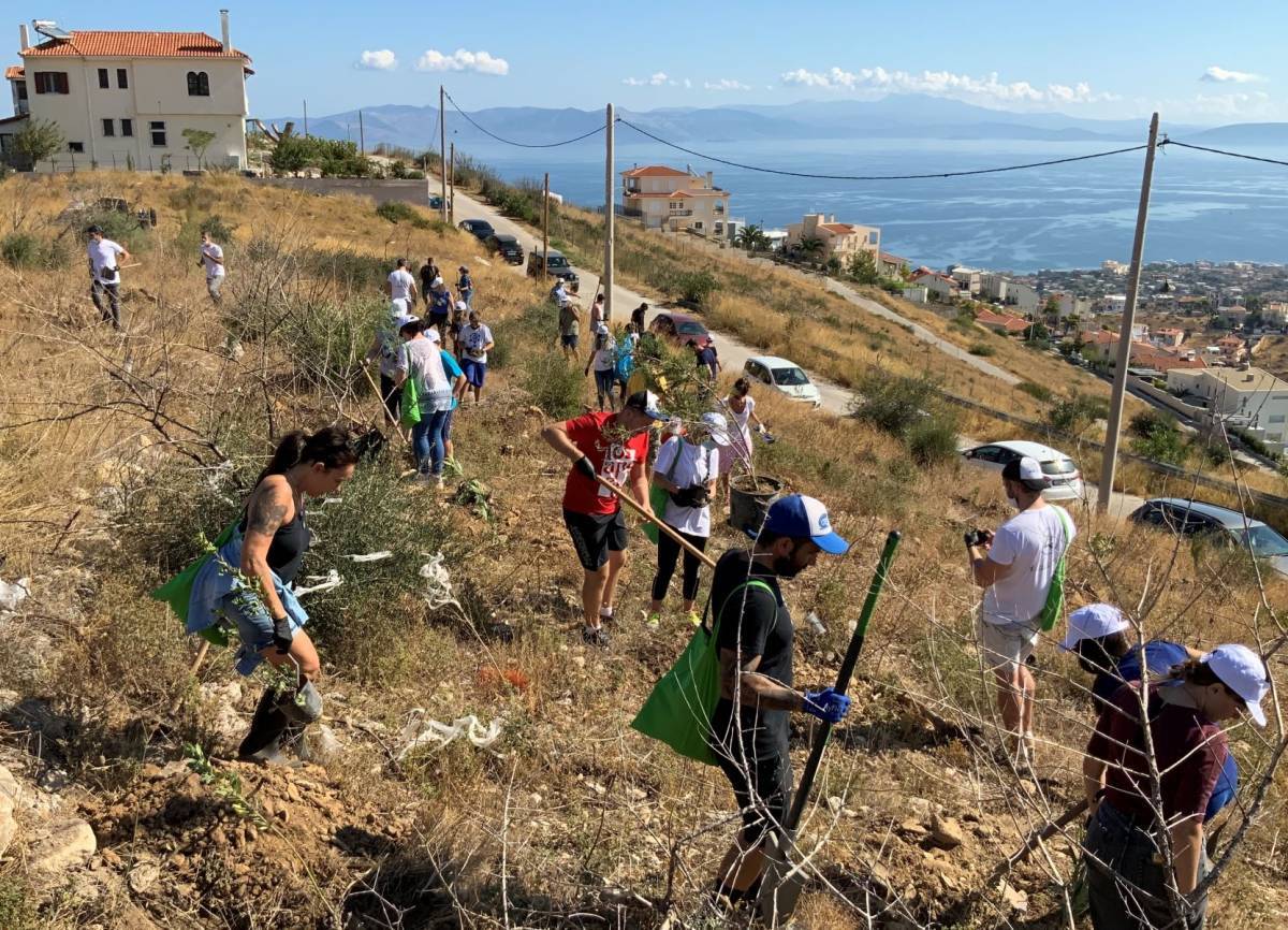 «Περισσότερο πράσινο στη ζωή μας!» από INTERAMERICAN και We4all