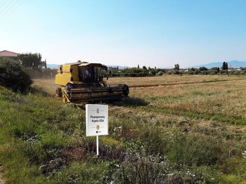 ΕΖΑ: Εκκίνηση προγράμματος Συμβολαιακής γεωργίας