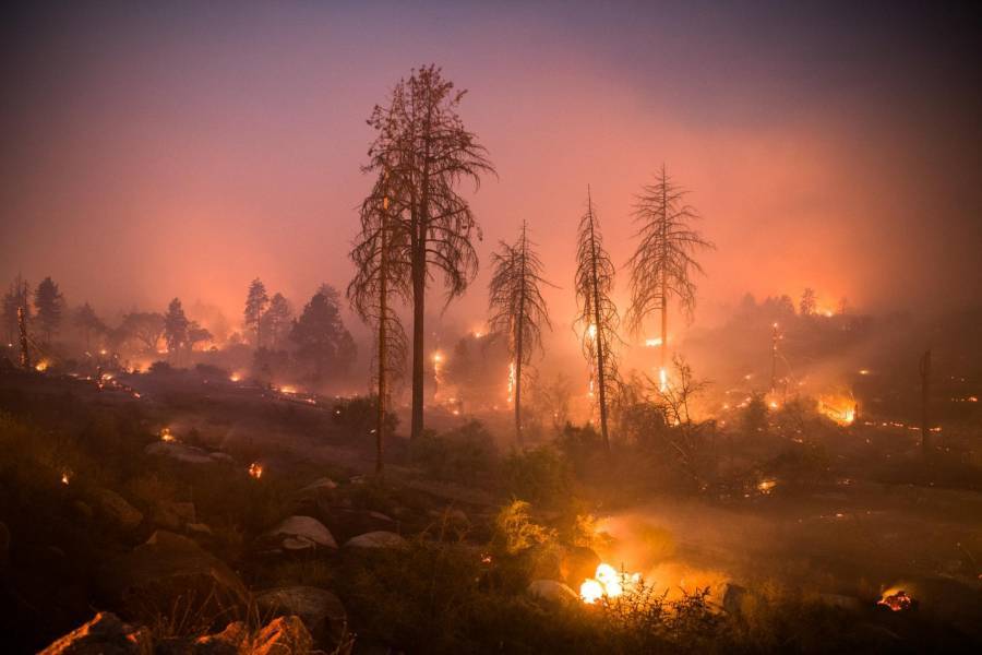 Πυρκαγιές στην Καλιφόρνια: Απειλούνται 90.000 στρέμματα- Διακοπές ρεύματος