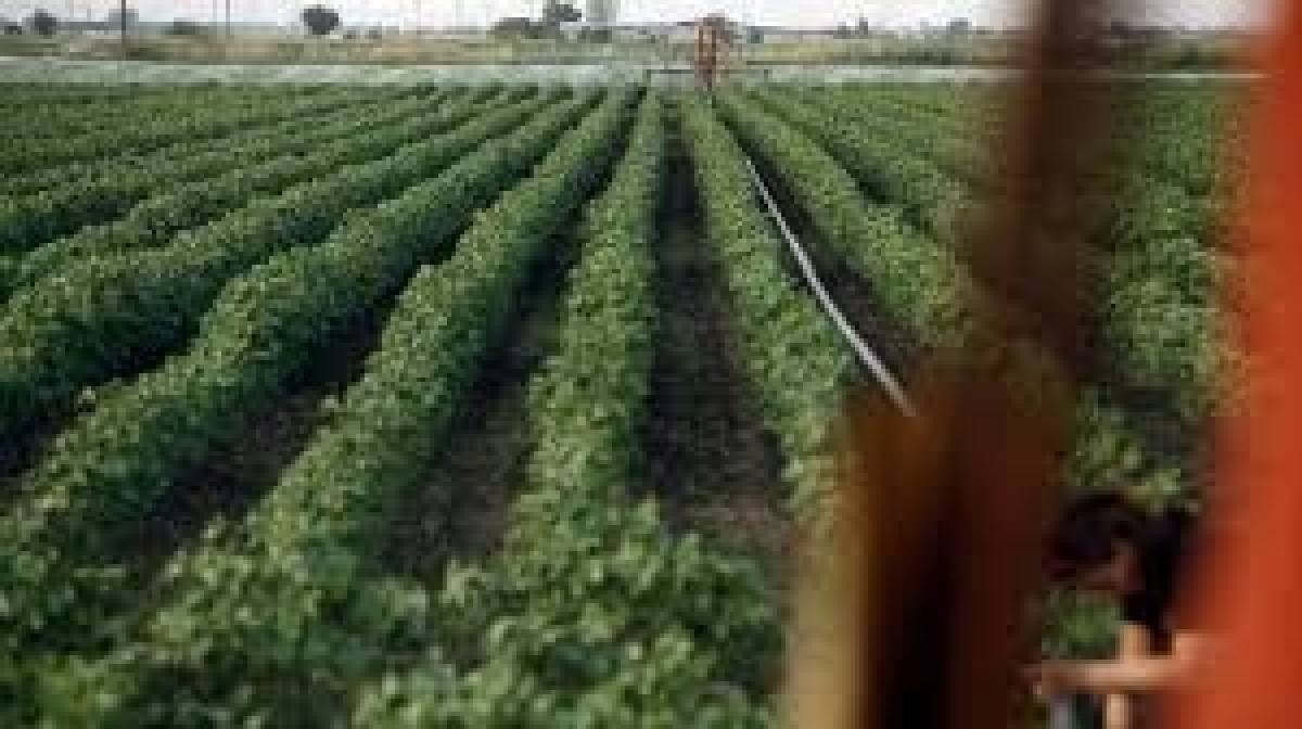 Πόροι 400 εκατ. ευρώ από το Ταμείο Εγγυήσεων Αγροτικής Ανάπτυξης