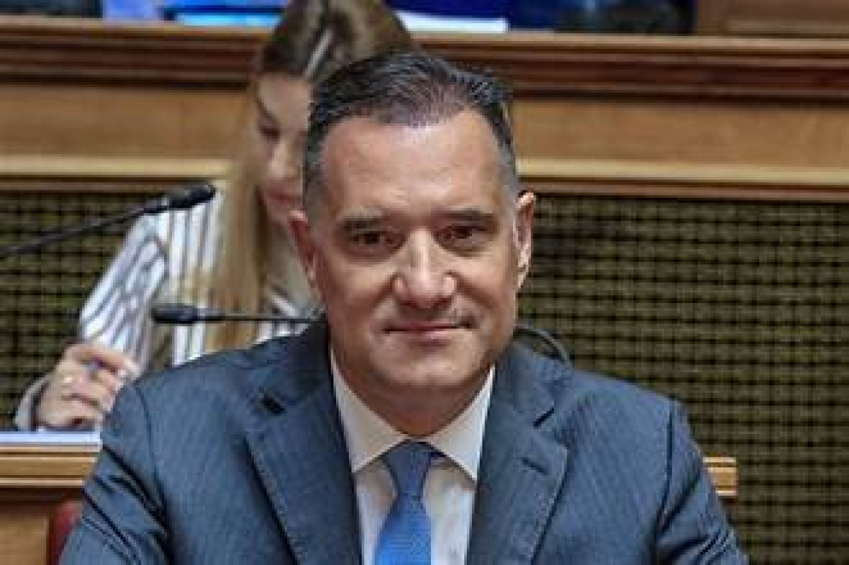 Γεωργιάδης: Τη Δευτέρα οι ανακοινώσεις για την Προσωρινή Διοικούσα Επιτροπή του ΠΙΣ