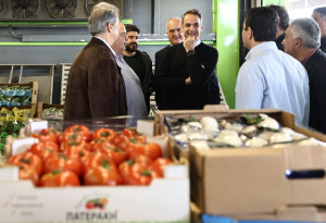 Μητσοτάκης: Ο επίμονος πληθωρισμός στα τρόφιμα αρχίζει πια να κάμπτεται