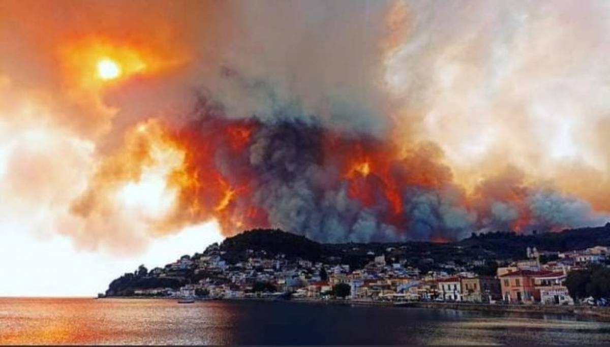 Τα μέτρα για τους κτηνοτρόφους που επλήγησαν από τις φωτιές