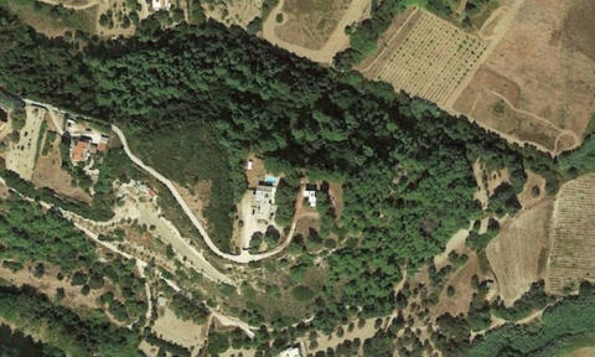 Δασικοί χάρτες: Σε ποιες περιοχές παρατείνεται η υποβολή αντιρρήσεων