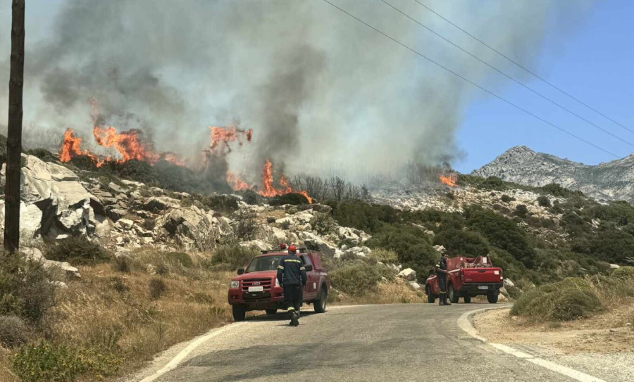 Πυροσβεστική: 50 πυρκαγιές το τελευταίο 24ωρο – Ενίσχυση δυνάμεων στη Νάξο
