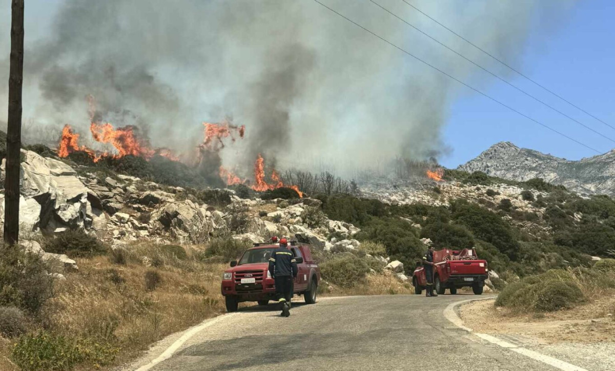 Πυροσβεστική: 50 πυρκαγιές το τελευταίο 24ωρο – Ενίσχυση δυνάμεων στη Νάξο