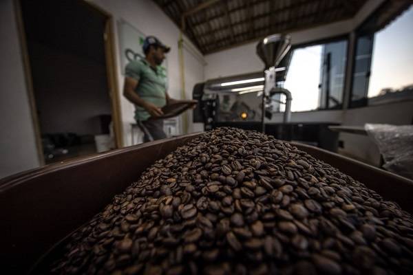 Τι συμβαίνει με τη δημοφιλέστερη ποικιλία καφέ στον πλανήτη