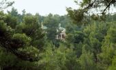Παράταση μέχρι 7 Σεπτεμβρίου στην ανάρτηση των δασικών χαρτών