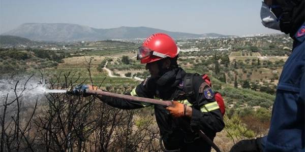 Πυρκαγιά σε δασική έκταση στην Κάτω Δροσιά της Αχαΐας