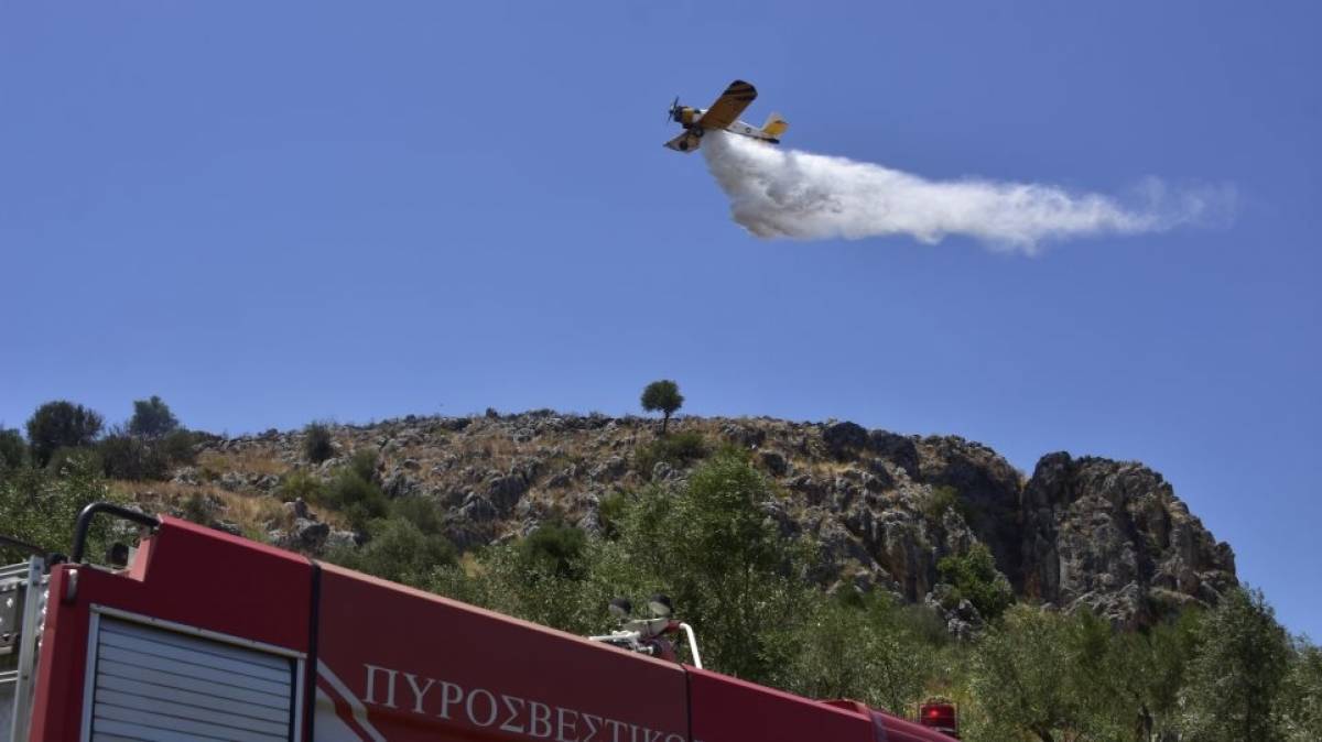 Πυρκαγιά στην Εύβοια: Η πυροσβεστική ζήτησε εκκένωση του χωριού Μακρυμάλλη
