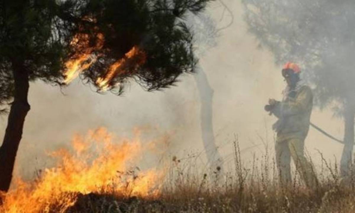 ΕΕΑ: Ήπιο το πρώτο μισό της φετινής αντιπυρικής περιόδου