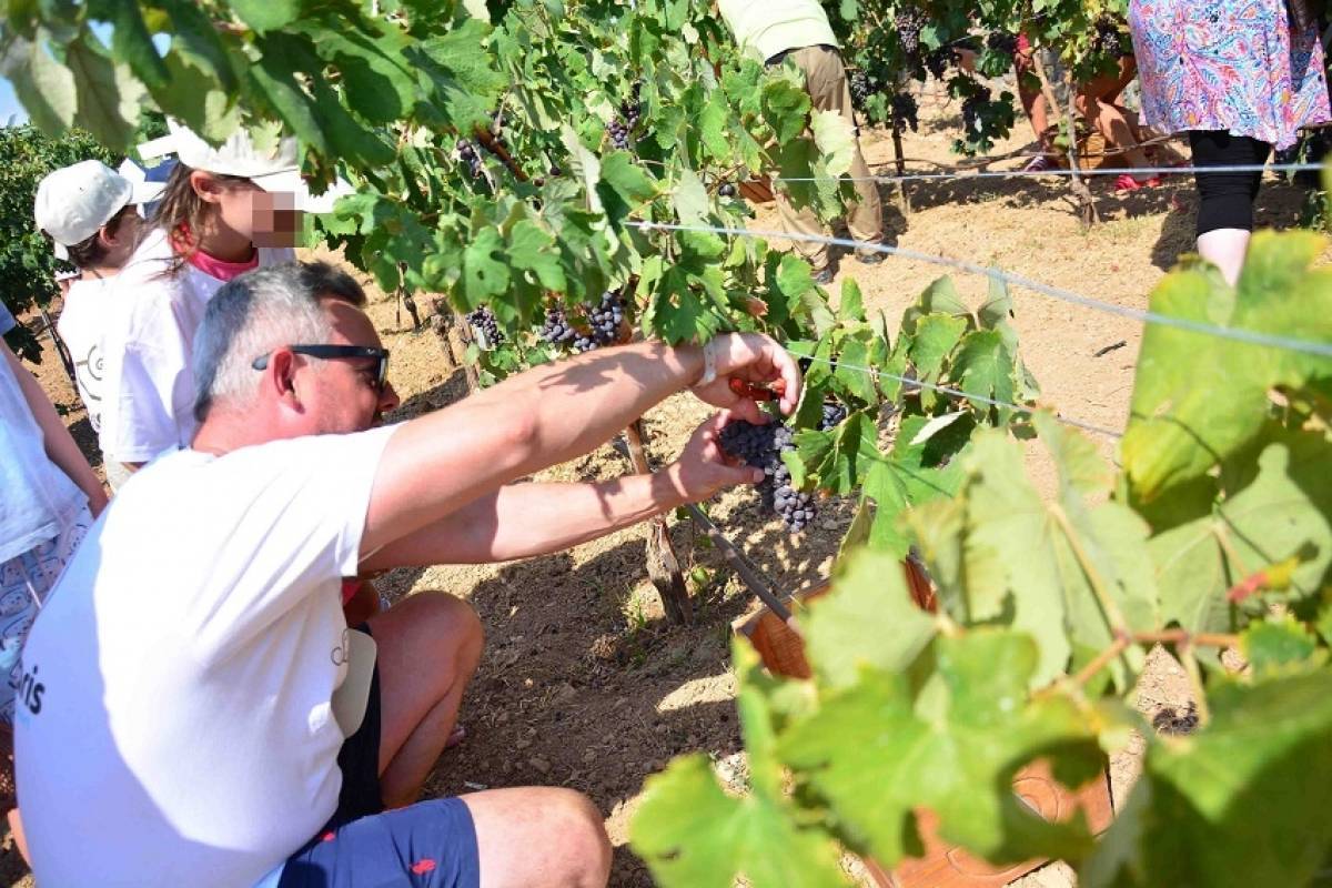 Οι επισκέπτες του Creta Maris μαθαίνουν να ζουν σαν Κρητικοί