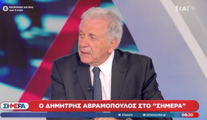 Αβραμόπουλος: Είναι μία μπούρδα όλη η ιστορία – Δεν θα απολογηθώ