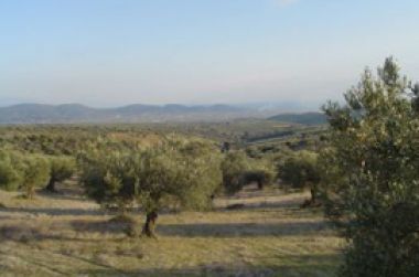 Άνοιγμα στην Ευρώπη από τη «Λαδόπετρα»