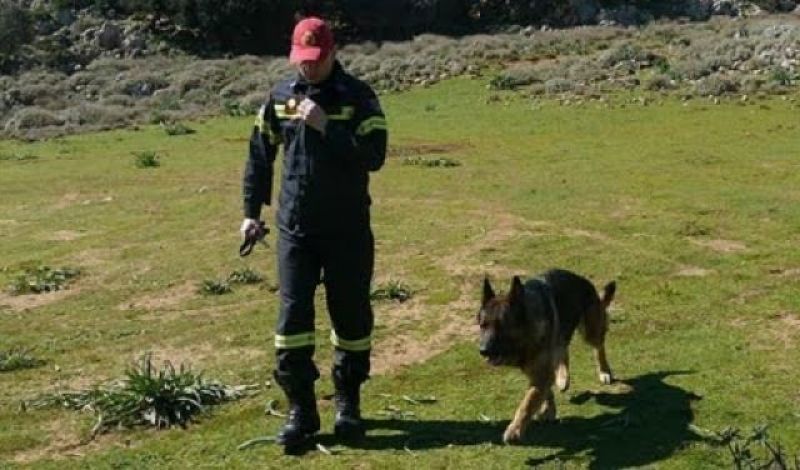 Χάθηκε 9χρονος στα ορεινά των Καλαβρύτων-Έρευνες σε εξέλιξη