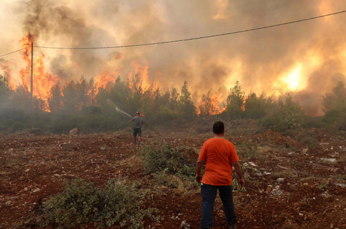 Ο πρώτος απολογισμός του ΕΛΓΑ για τις καταστροφές από πυρκαγιές