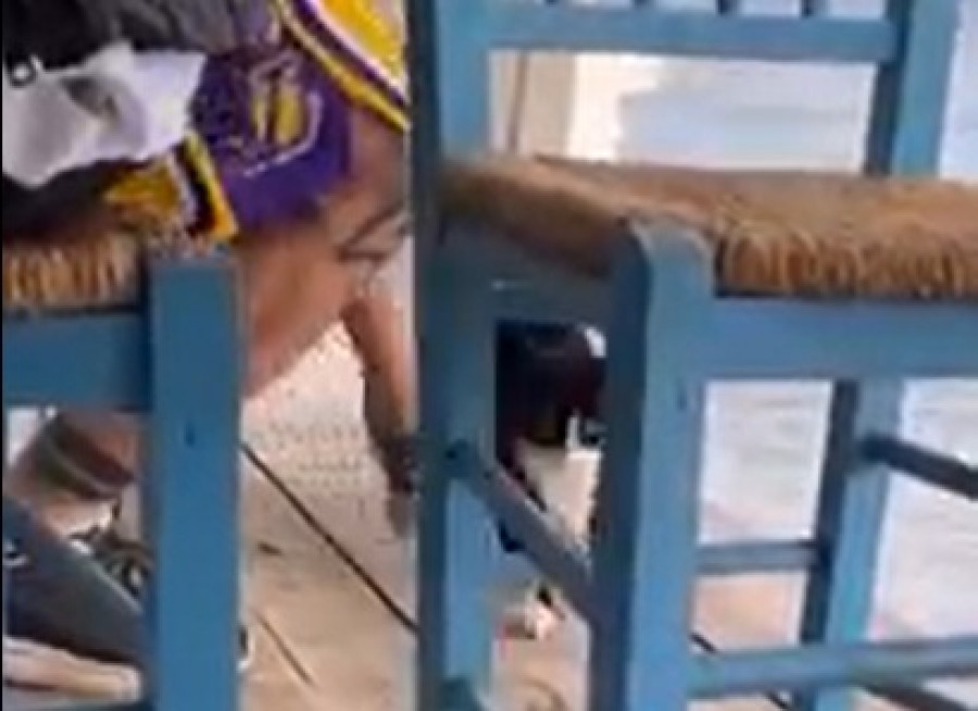 Παρέμβαση Θεοδωρικάκου για την κλωτσιά σε γατάκι στη θάλασσα