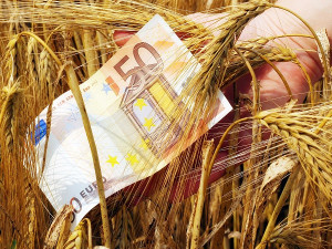 ΥΠΑΑΤ: Καταβάλλονται άμεσες ενισχύσεις ύψους 104,39 εκατ. ευρώ