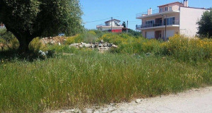 Παράταση στην υποβολή δηλώσεων καθαρισμού οικοπέδων