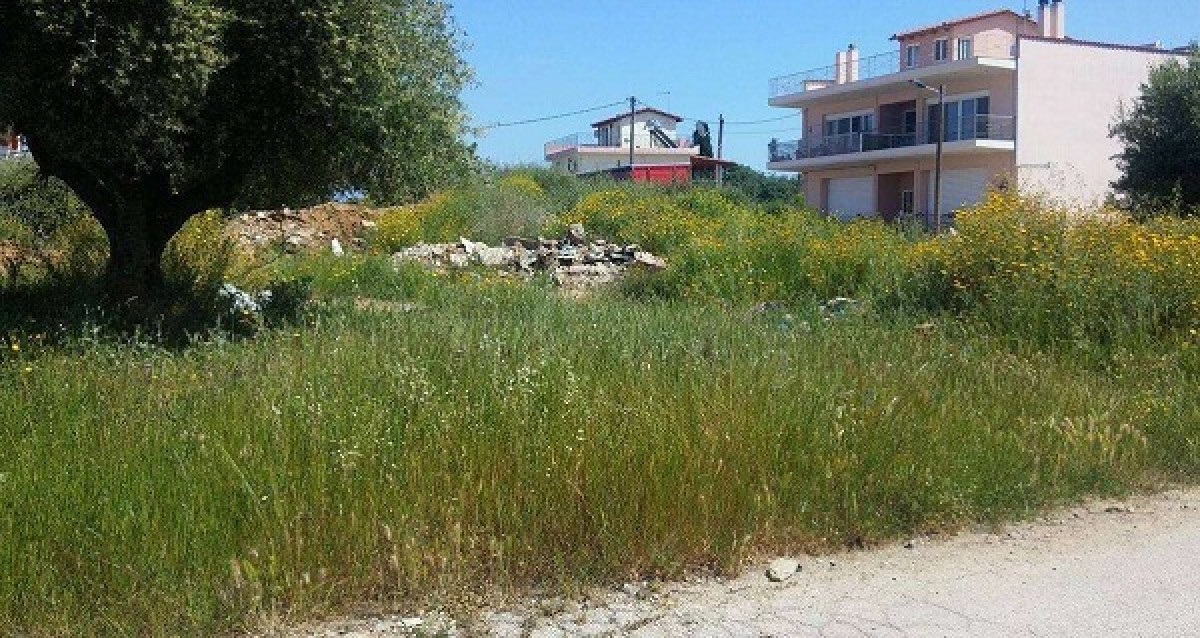 Παράταση στην υποβολή δηλώσεων καθαρισμού οικοπέδων