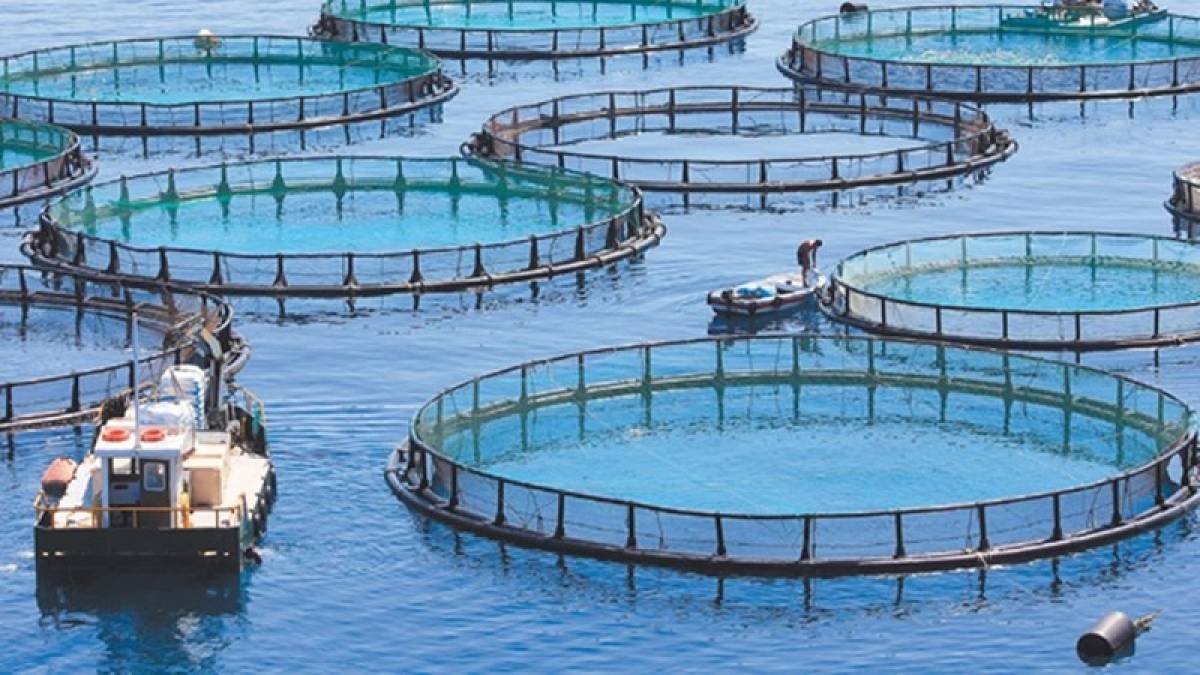 Κλείνει μετά τις 20 Σεπτεμβρίου η πώληση Νηρέα- Σελόντα