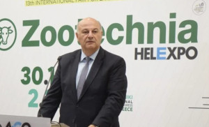 Τσιάρας: Αδιανόητη η δυναμική της ελληνικής κτηνοτροφίας