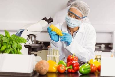 Τεχνολογία τροφίμων και καινοτομία: Προκλήσεις και υποχρεώσεις των επιχειρήσεων