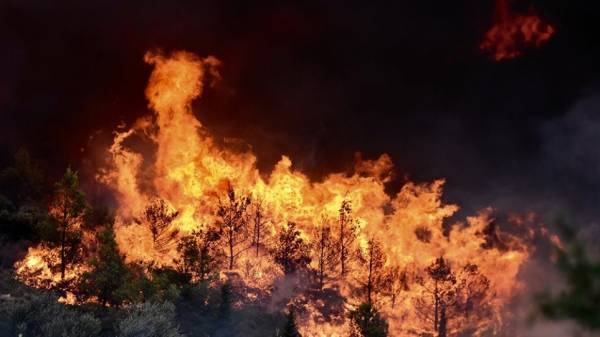 Φωτιά ξεσπασε σε κατοικημένη περιοχή στο Λαγονήσι