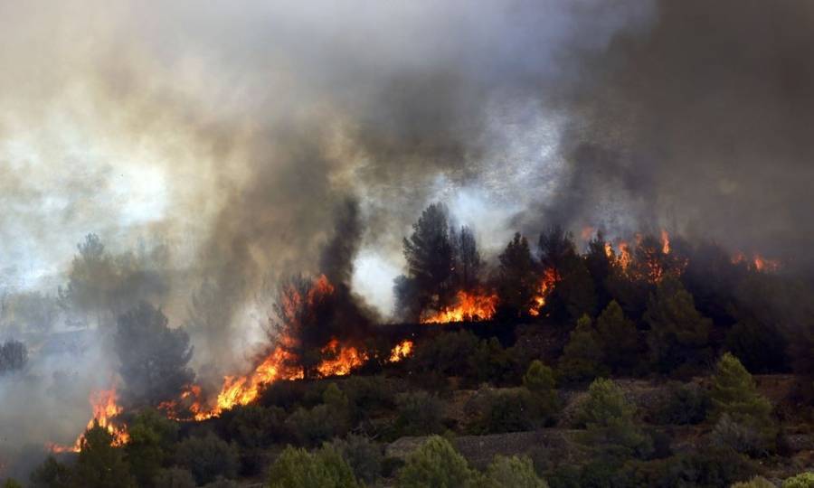 Δασικές πυρκαγιές πλήττουν την Αυστραλία λόγω κλιματικής αλλαγής