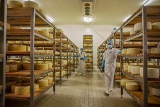 Την εταιρία Αμφιγάλ πιστοποίησε η TÜV HELLAS