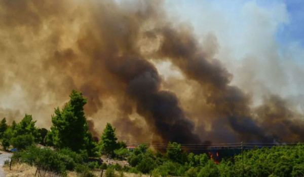 Συνελήφθη ο δήμαρχος Στυλίδας – Πού στρέφονται οι έρευνες για τις πυρκαγιές