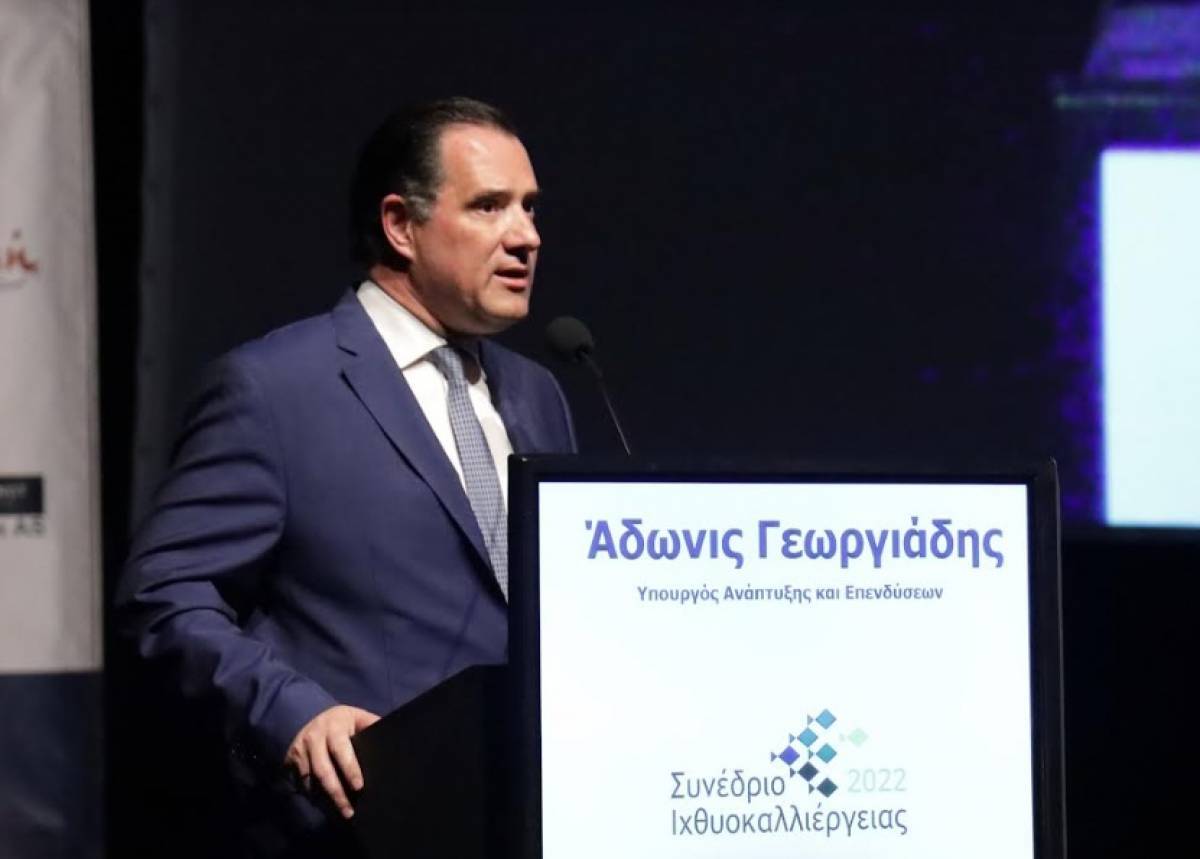 Γεωργιάδης: Αρχές Μαΐου τα πρώτα καθεστώτα του νέου Αναπτυξιακού
