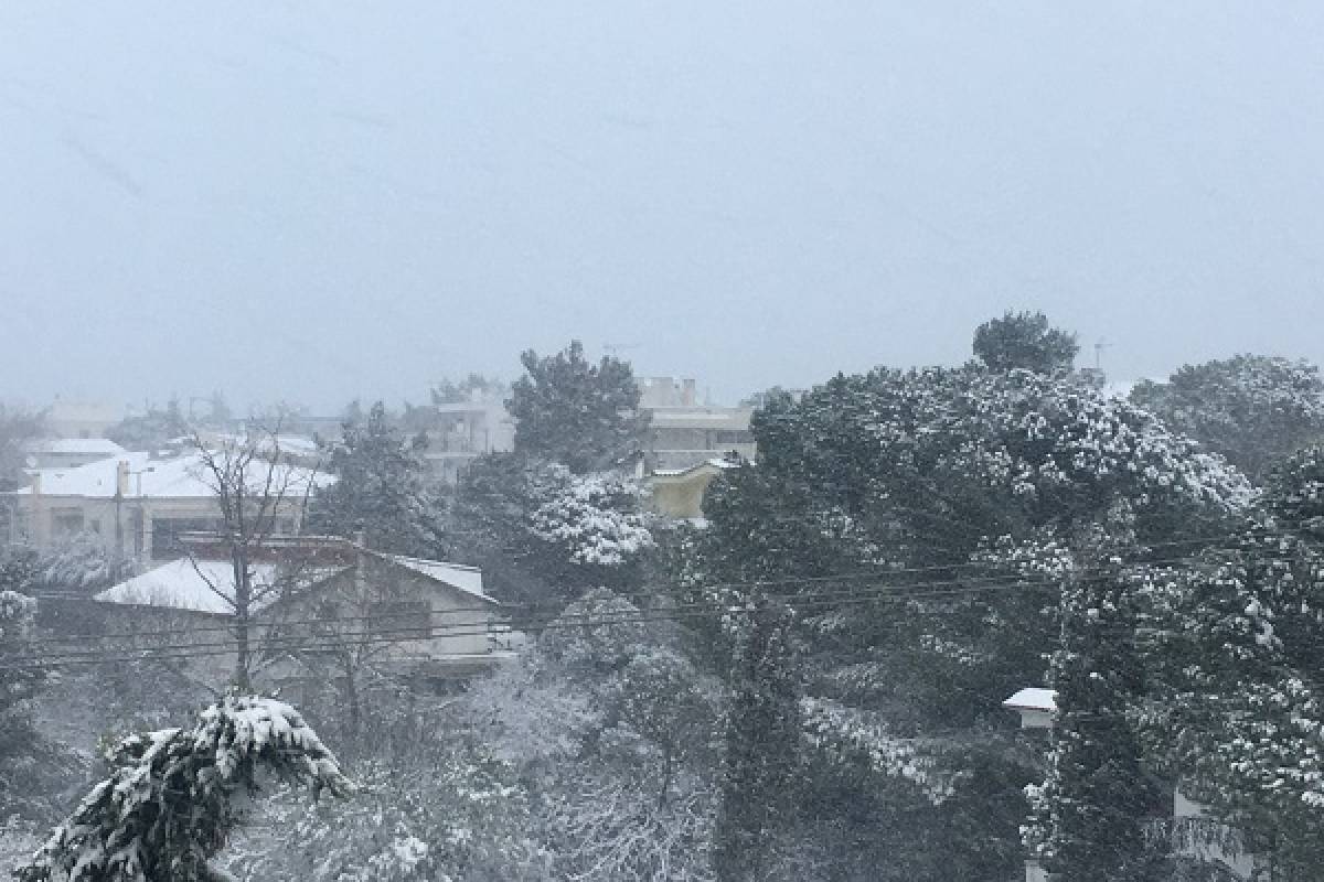 ΔΕΔΔΗΕ: Που εντοπίζονται τα προβλήματα στην ηλεκτροδότηση;
