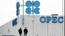 OPEC: Μείωση της παραγωγής του Ιανουαρίου κατά 890.000 βαρέλια ημερησίως