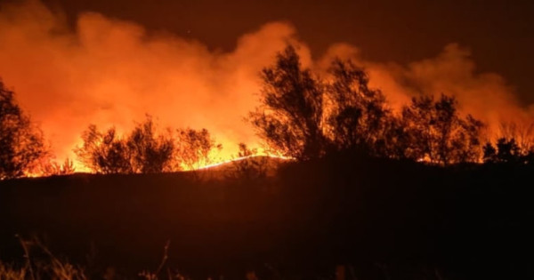 Έβρος: Απαγόρευση κυκλοφορίας σε δασικές περιοχές λόγω υψηλού κινδύνου πυρκαγιάς