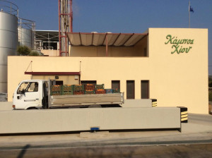 «Ελληνικά Γαλακτοκομεία»: Ανακοίνωσε την εξαγορά της «Κάμπος Χίου»