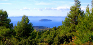 Θεσσαλονίκη: Απαγόρευση κυκλοφορίας σε δασικές περιοχές σε Χαλκιδική, Κιλκίς, Πέλλα