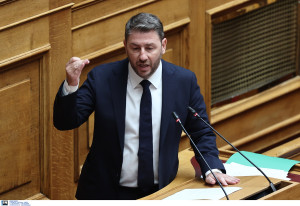 Ανδρουλάκης: Δεν είναι κανονικότητα η καταστροφή του φυσικού μας πλούτου