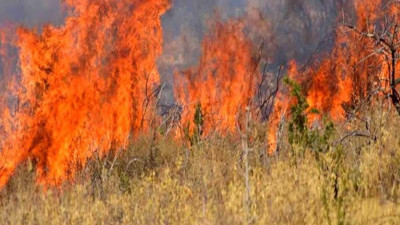 Πυροσβεστική: 155 δασικές πυρκαγιές την τελευταία εβδομάδα