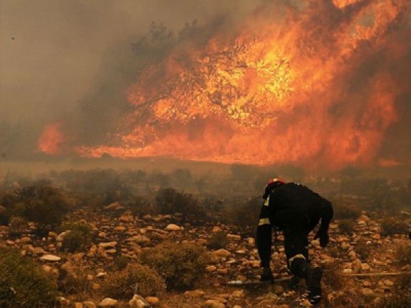 Μεσσηνία: Νέο πύρινο μέτωπο στη Βοϊδοκοιλιά